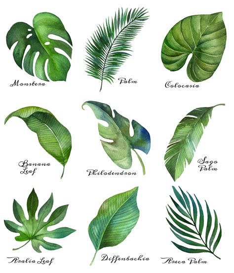 This creates that palm leaf look. Tropical Leaf Free Printable Art {Series of 9} | The Happy ...