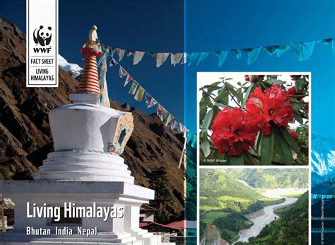 Wwfs Living Himalayas Initiative Factsheet Wwf