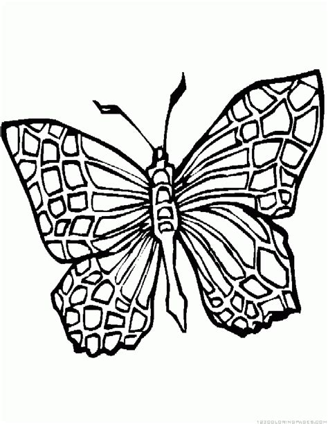 Coloring Page Of Butterfly