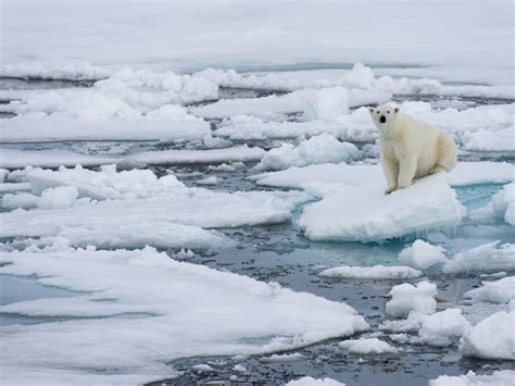 Arctic Warming Why Record Breaking Melting Is Just The