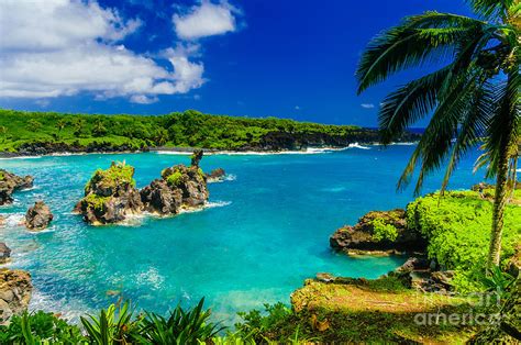 Spectacular Ocean View On The Road To Hana Maui Hawaii Usa Photograph