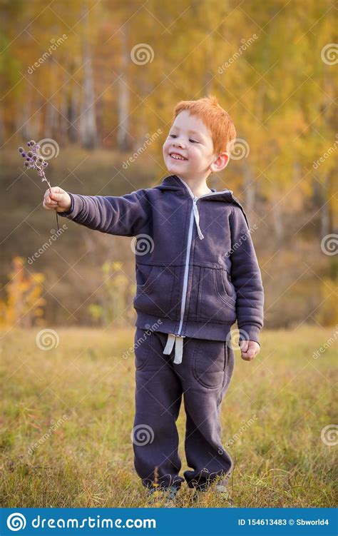 Adorable Little Boy Standing On Autumn Landscape Stock Image Image Of