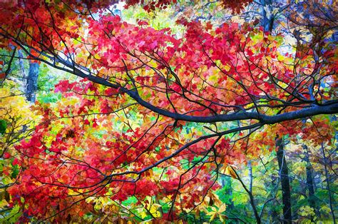 Fall Foliage Great Smoky Mountains Painted Photograph By