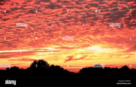 Afternoon Sky Stock Photo Alamy
