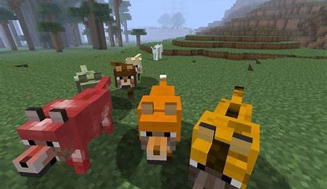 What To Feed Wolves In Minecraft