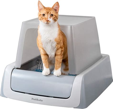 Top 10 Best Self Cleaning Litter Box For Large Cats Top Picks For You