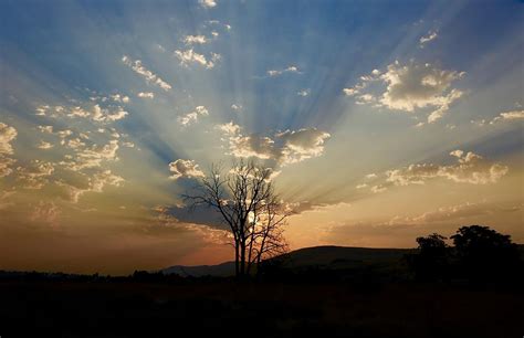 Morning Sun Rays Photograph By Lynn Hopwood Fine Art America