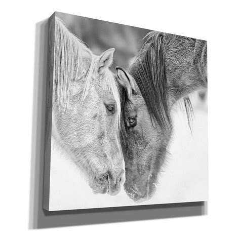 Union Rustic Bandw Horses Vii By Wrapped Canvas Graphic Art Wayfair