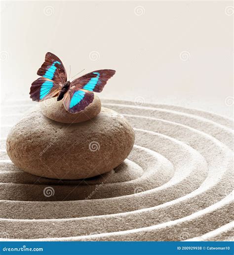 Zen Garden Meditation Stone Background And Butterfly With Stones And