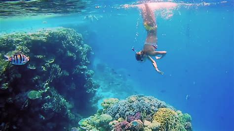 Beautiful Woman Dive Underwater In Stock Footage Video