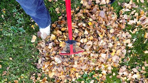 5 Essential Landscaping Tasks For Fall The Noll Landscaping Group