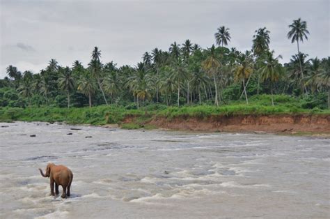 29 Sri Lanka Travel Photos Make Your Hert Race Living Nomads