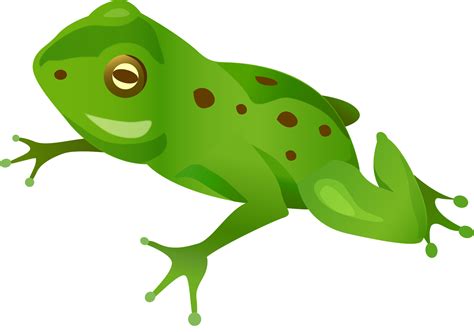 Green Frog Png