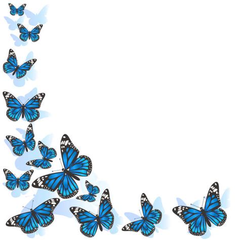 Butterfly Border Svg Free 237 File For Free