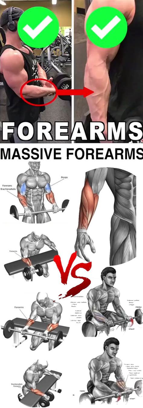 Massive Forearms Forearm Workout Biceps Workout Bodyweight Workout
