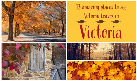 Autumn In Victoria 13 Places To Experience The Magnificent Colours