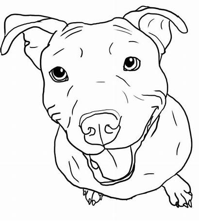 Pitbull Coloring Tongue Stick Pit Bull Drawing