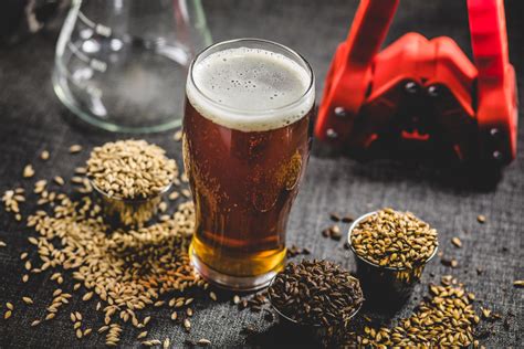 Den Ultimative Guide Til ølbrygning Bryg Din Egen øl I Dag