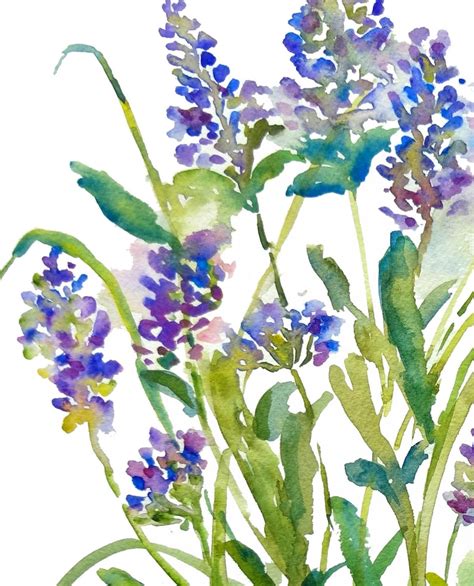 Lavender Impression Watercolor Fine Art Print 8x10 11x14 Etsy