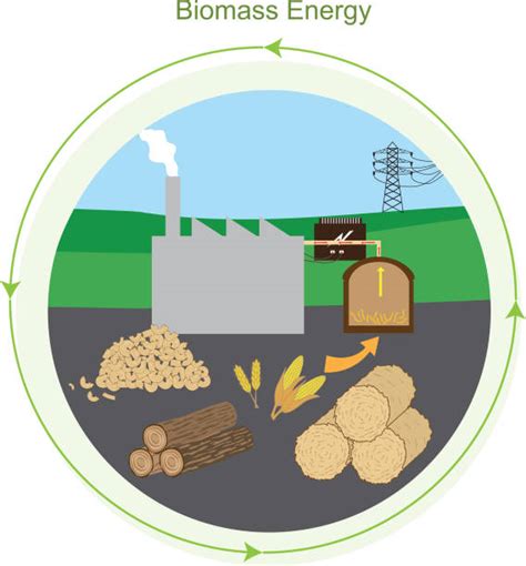 2600 Renewable Energy Biomass Stock Illustrations Royalty Free