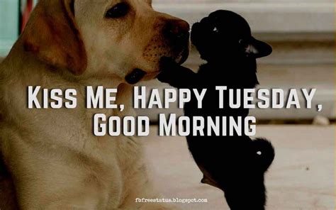 Happy And Funny Tuesday Quotes With Images Pictures Happy Tuesday