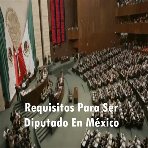 Requisitos Para Ser Diputado En México 2023 Elyex