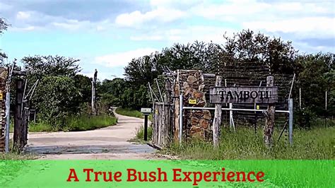 Visit Tamboti Tented Camp Kruger Park Safarihub Youtube