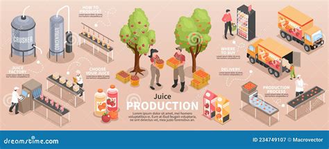 Isometric Juice Production Infographics Stock Vector Illustration Of