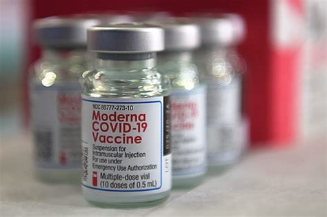 speech the moderna covid‑19 vaccine uses mrna to provide a blueprint for your cells to build your body's defense against the virus. Moderna COVID-19 vaccine - Wikipedia