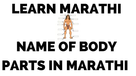 I will make effort to strengthen the muscles in the calf. List of body parts in Marathi:Learn Marathi - YouTube