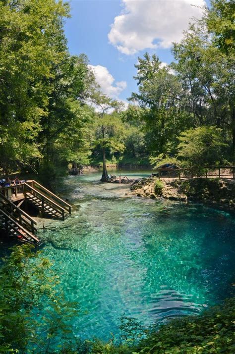 Madison spring has been serving the madison area since 1967. Madison Blue Spring State Park #Florida #statepark | Blue ...