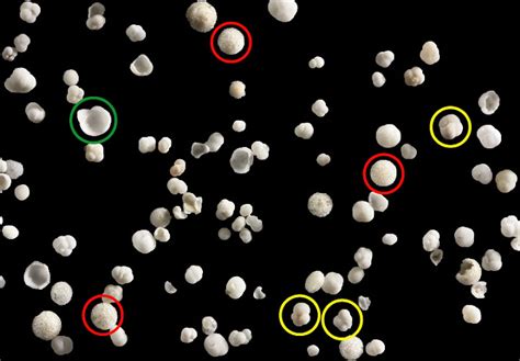 Biogenic Sand Sandatlas