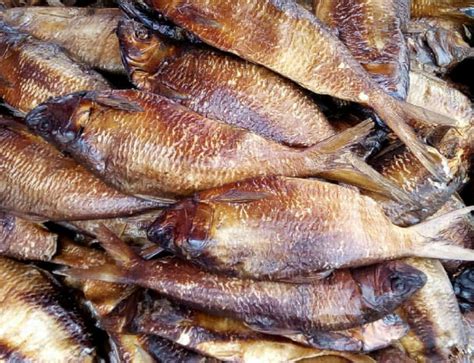 Ijeomas Seafood Dried Bonga Fish Available From Oron For 200 Pieces