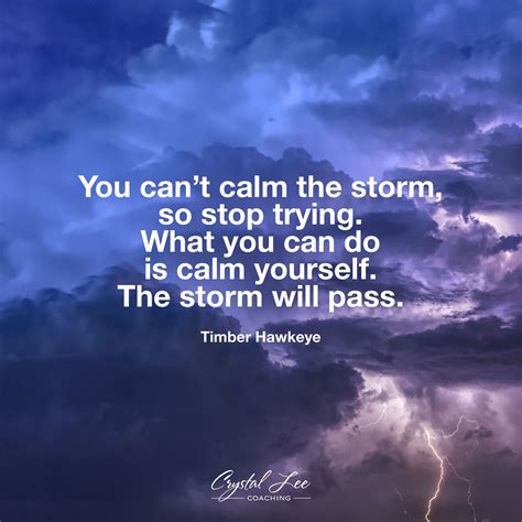 You Cant Calm The Storm So Stop Trying What You Can Do Is Calm