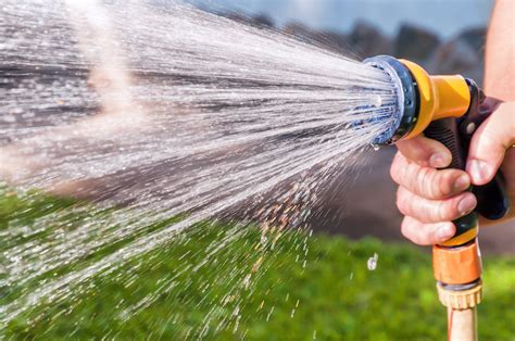 The Definitive Guide To Watering Your Lawn
