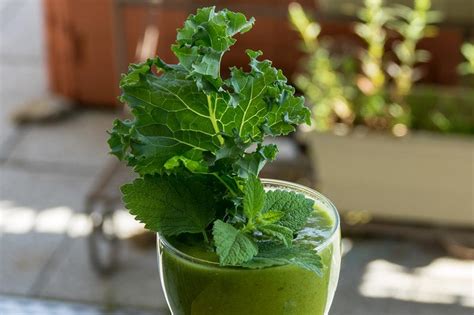 10 Kale Benefits For Skin And Body Women Fitness Magazine