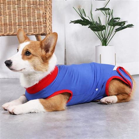 Recovery Suit For Dogs Cats After Surgery Anti Licking Dog Surgical