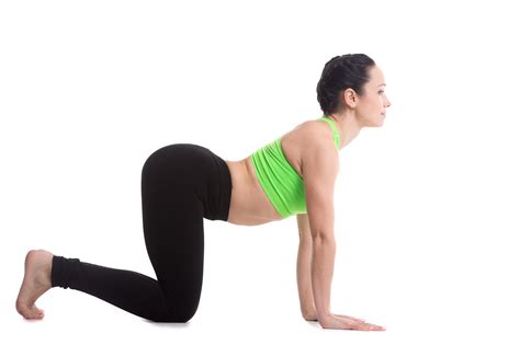 Yoga Oefeningen Voor Beginners Yoga Oefeningen En Houdingen Happy My Xxx Hot Girl