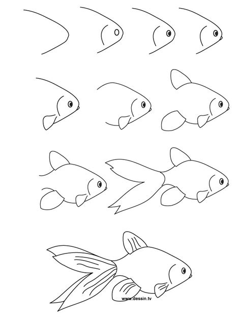 How to draw a salmon fish easy. Drawing goldfish | Fish drawings, Easy drawings, Art lessons