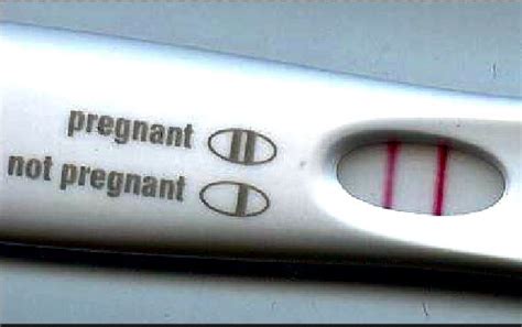 Florida Woman Selling Her Positive Pregnancy Tests To Pay For College