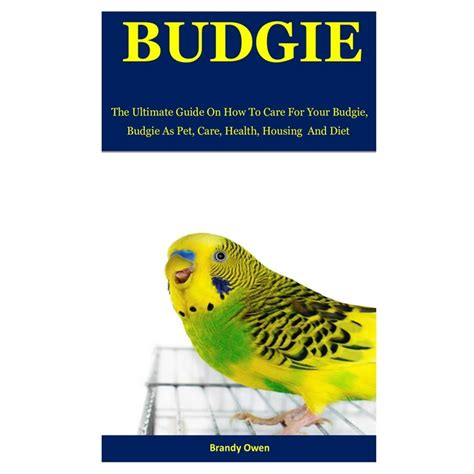 Budgie The Ultimate Guide On How To Care For Your Budgie Budgie As