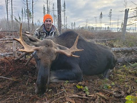 Moose Hunting Marsh River Outfitters