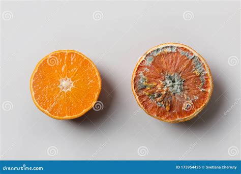 Ugly Mold Orange On Grey Top View Improper Storage Of Food Stock