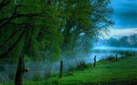 Green Grass Field And Trees Nature Landscape Mist River Hd
