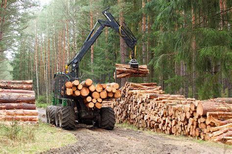 Timber Harvesting Guidelines Planned Harvesting And Reforestation