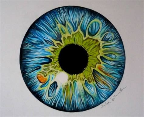 Colored Pencil Eye Drawing By Barbiespitzmuller On Deviantart Eye