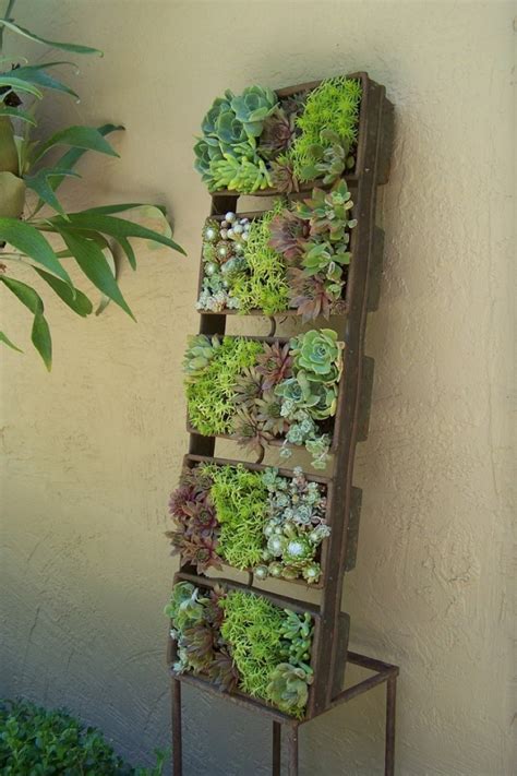 Succulent Planter To Make Awesome Indoor Garden Homesfeed