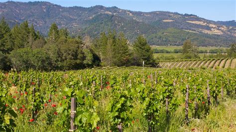 Napa Valley Vacation Packages Book Cheap Vacations And Trips Expedia