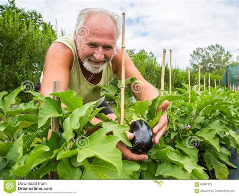 Real Farmer In His Own Home Garden Stock Image Image Of Nature Farm