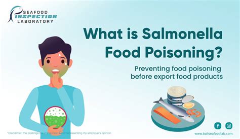 What Is Salmonella Food Poisoning Knowing Salmonellosis On Food
